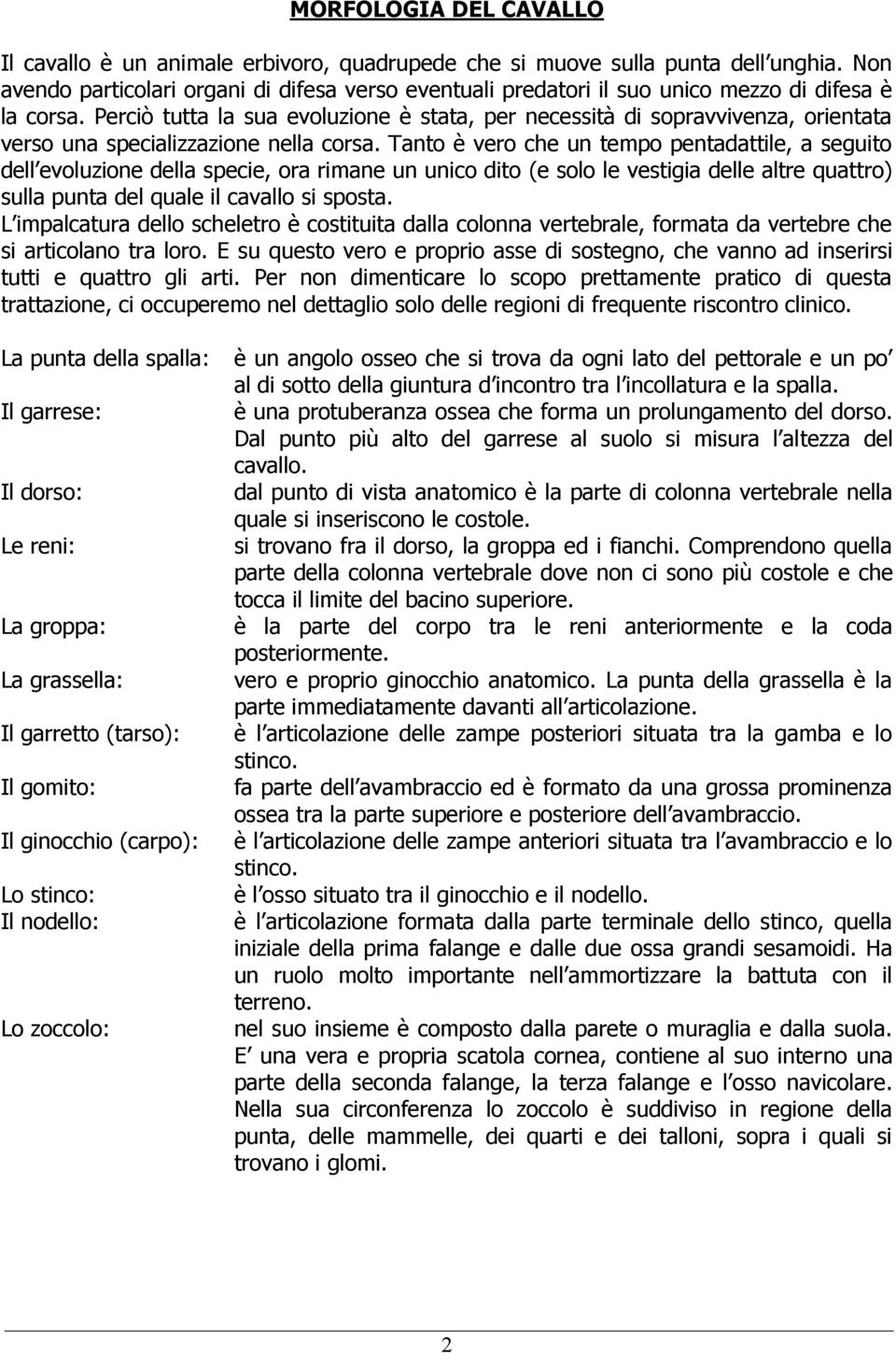 Perciò tutta la sua evoluzione è stata, per necessità di sopravvivenza, orientata verso una specializzazione nella corsa.