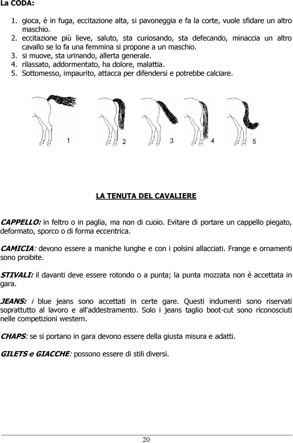 rilassato, addormentato, ha dolore, malattia. 5. Sottomesso, impaurito, attacca per difendersi e potrebbe calciare. LA TENUTA DEL CAVALIERE CAPPELLO: in feltro o in paglia, ma non di cuoio.