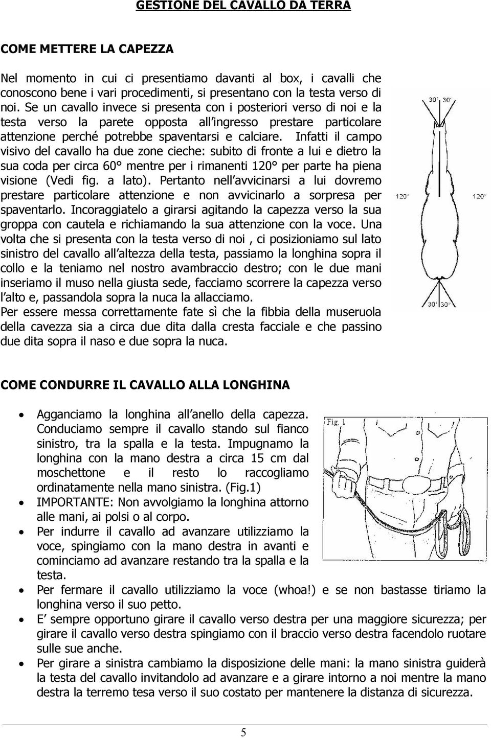 Infatti il campo visivo del cavallo ha due zone cieche: subito di fronte a lui e dietro la sua coda per circa 60 mentre per i rimanenti 120 per parte ha piena visione (Vedi fig. a lato).