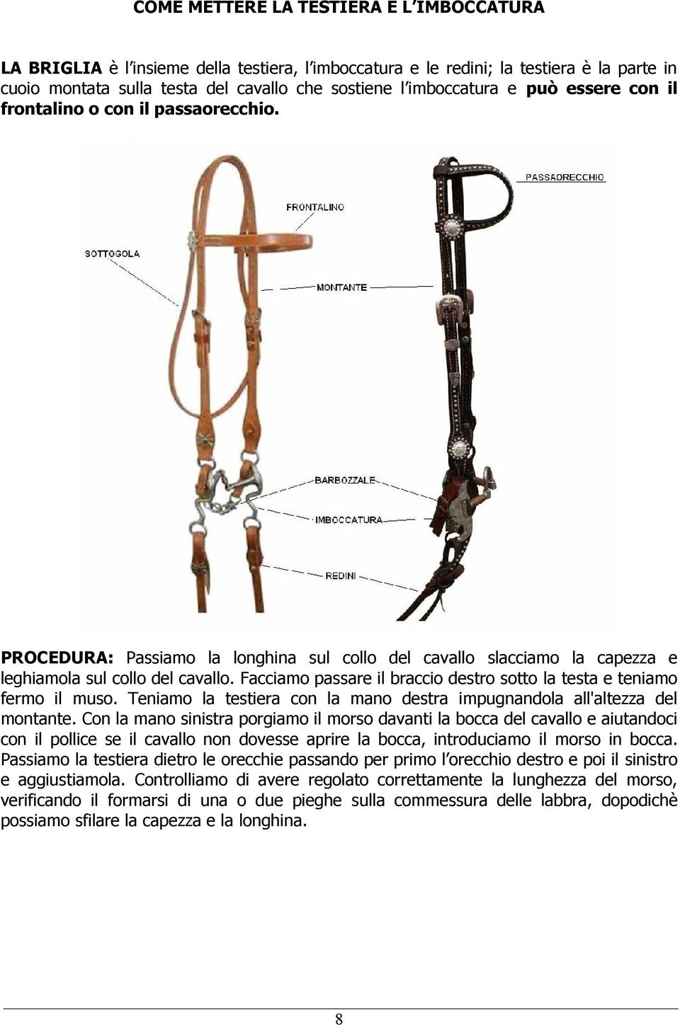 Facciamo passare il braccio destro sotto la testa e teniamo fermo il muso. Teniamo la testiera con la mano destra impugnandola all'altezza del montante.