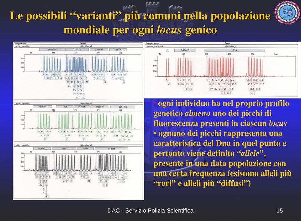 dei picchi rappresenta una caratteristica del Dna in quel punto e pertanto viene definito allele,