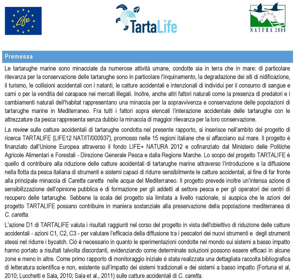 la vendita del carapace nei mercati illegali.