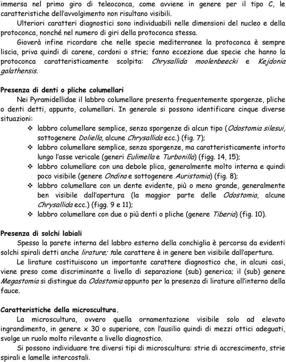 Gioverà infine ricordare che nelle specie mediterranee la protoconca è sempre liscia, priva quindi di carene, cordoni o strie; fanno eccezione due specie che hanno la protoconca caratteristicamente