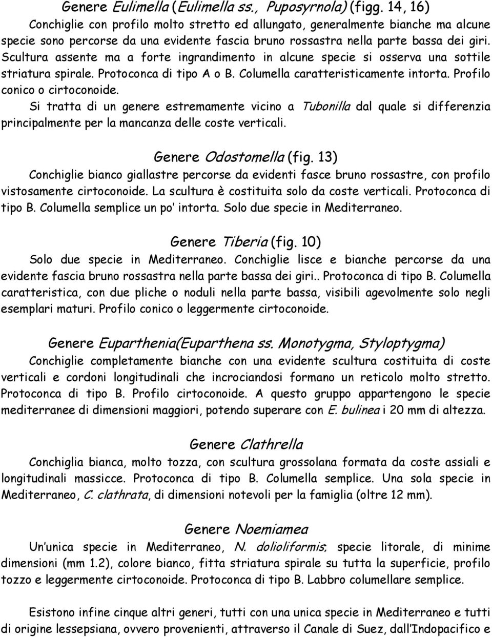 Scultura assente ma a forte ingrandimento in alcune specie si osserva una sottile striatura spirale. Protoconca di tipo A o B. Columella caratteristicamente intorta. Profilo conico o cirtoconoide.