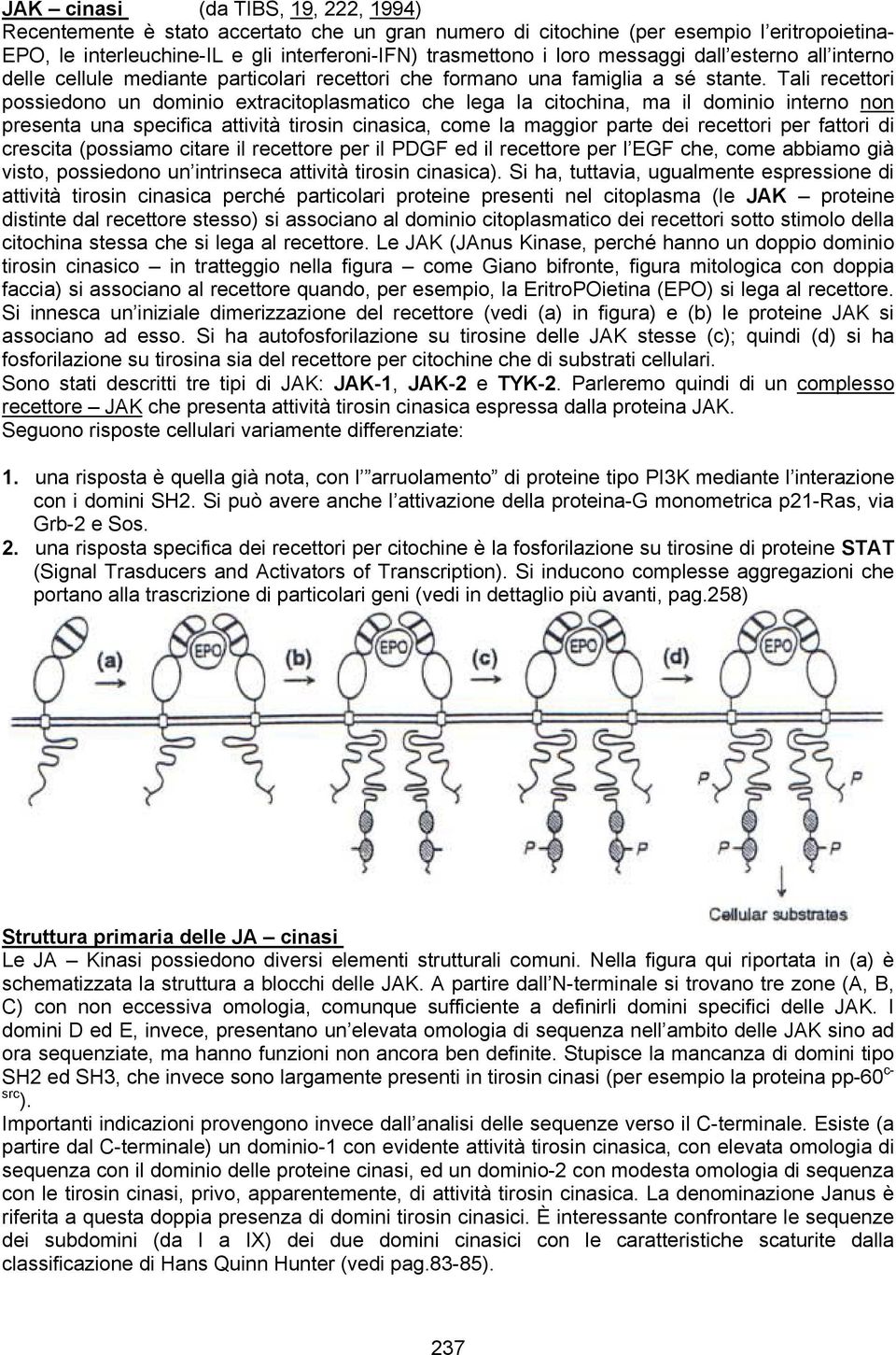 Tali recettori possiedono un dominio extracitoplasmatico che lega la citochina, ma il dominio interno non presenta una specifica attività tirosin cinasica, come la maggior parte dei recettori per