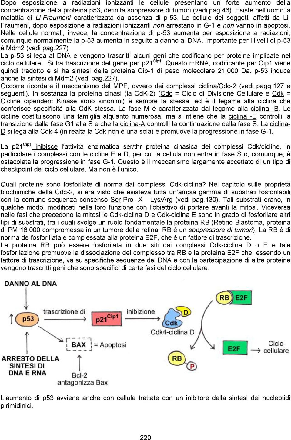 Le cellule dei soggetti affetti da Li- Fraumeni, dopo esposizione a radiazioni ionizzanti non arrestano in G-1 e non vanno in apoptosi.