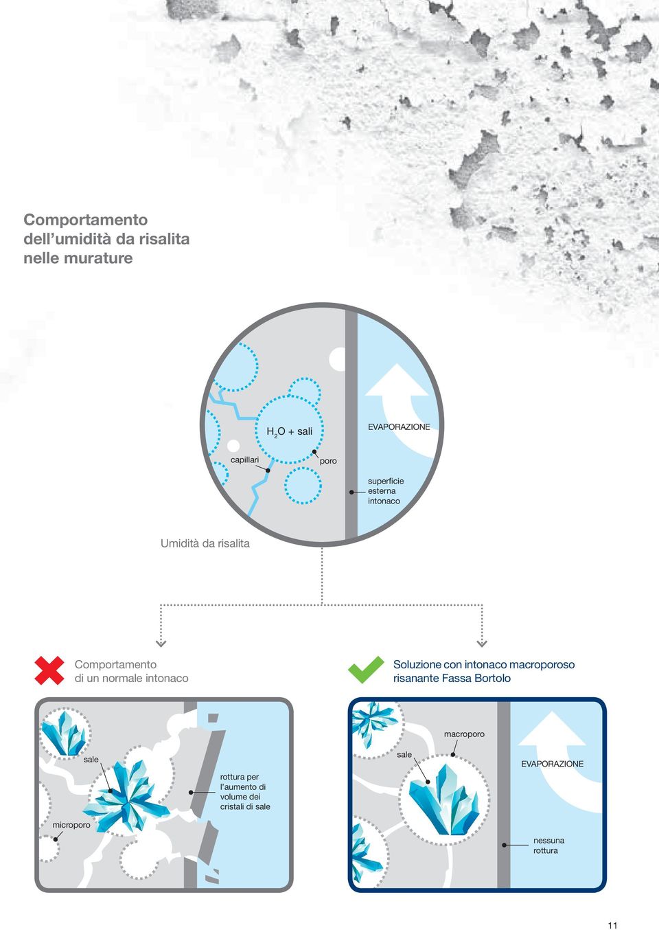 normale intonaco Soluzione con intonaco macroporoso risanante Fassa Bortolo macroporo