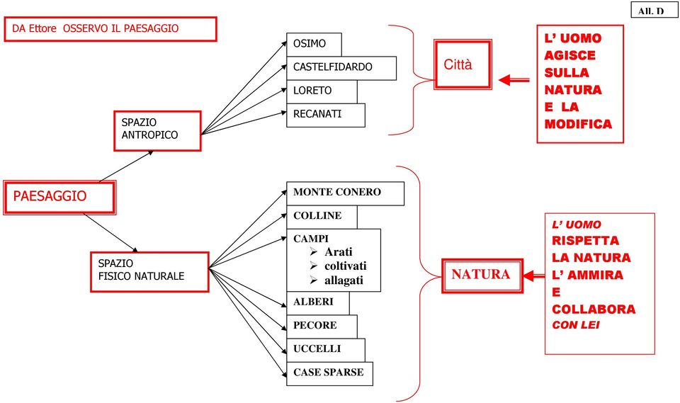 CONERO SPAZIO FISICO NATURALE COLLINE CAMPI Arati coltivati allagati ALBERI