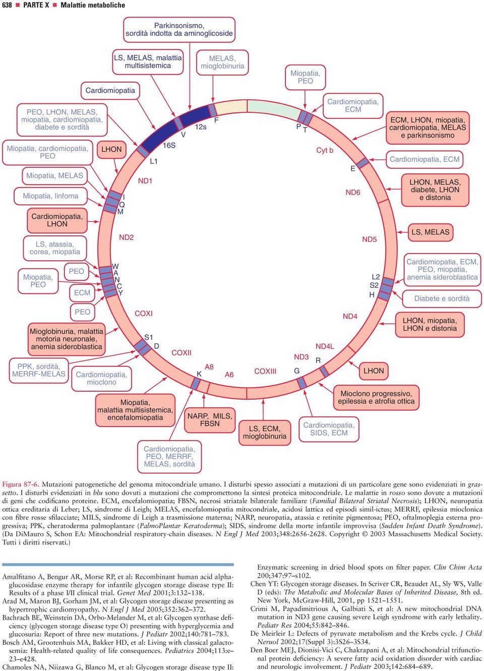 atassia, ataxia, chorea, corea, miopatia myopathy Myopathy, Miopatia, PEO Mioglobinuria, Myoglobinuria, malattia motoria neruon neuronale, disease, anemia siderblastic sideroblastica anemia PPK,