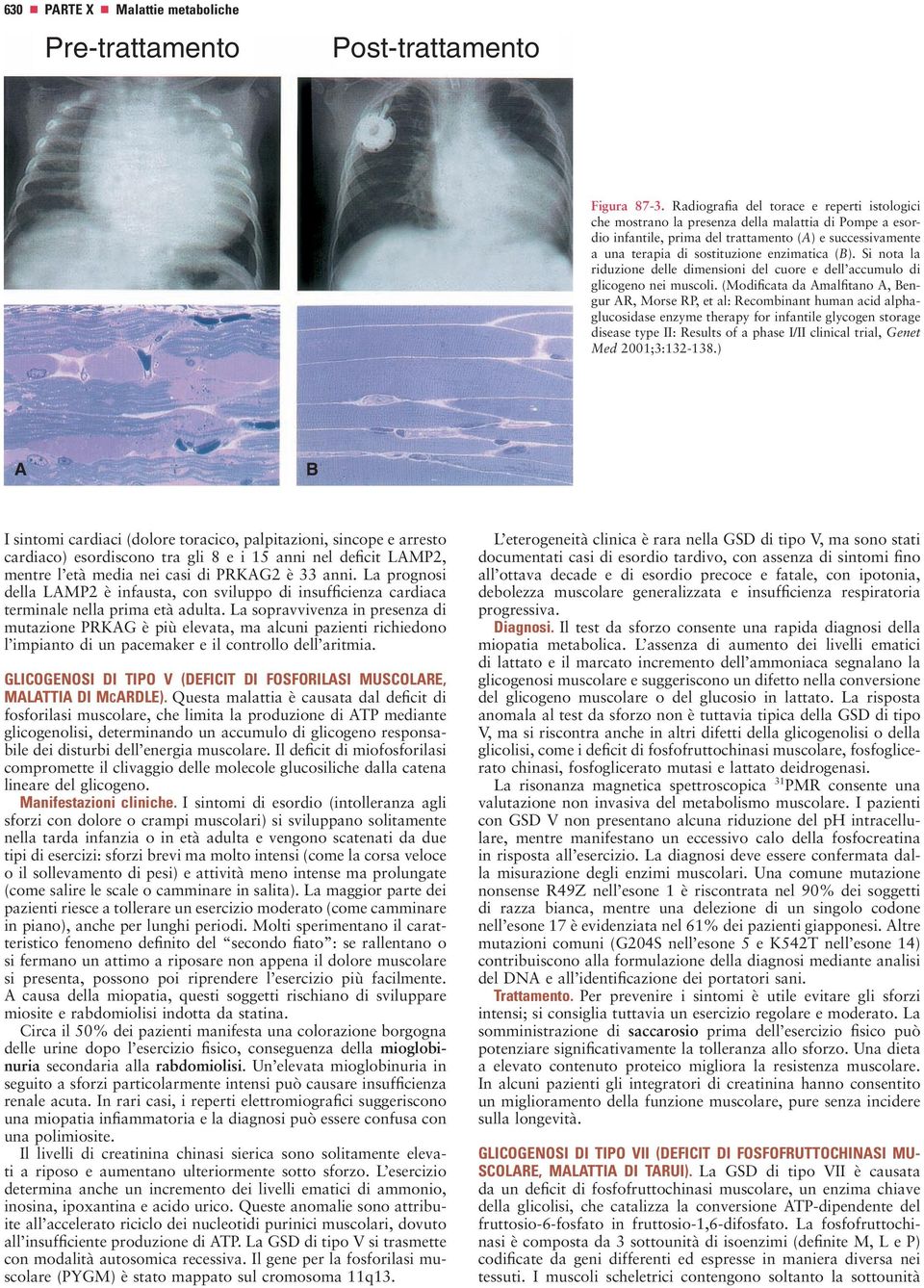 (B). Si nota la riduzione delle dimensioni del cuore e dell accumulo di glicogeno nei muscoli.