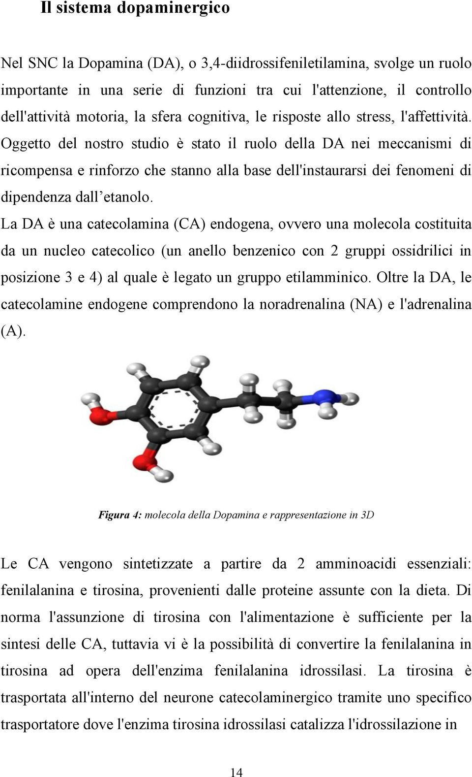 Oggetto del nostro studio è stato il ruolo della DA nei meccanismi di ricompensa e rinforzo che stanno alla base dell'instaurarsi dei fenomeni di dipendenza dall etanolo.