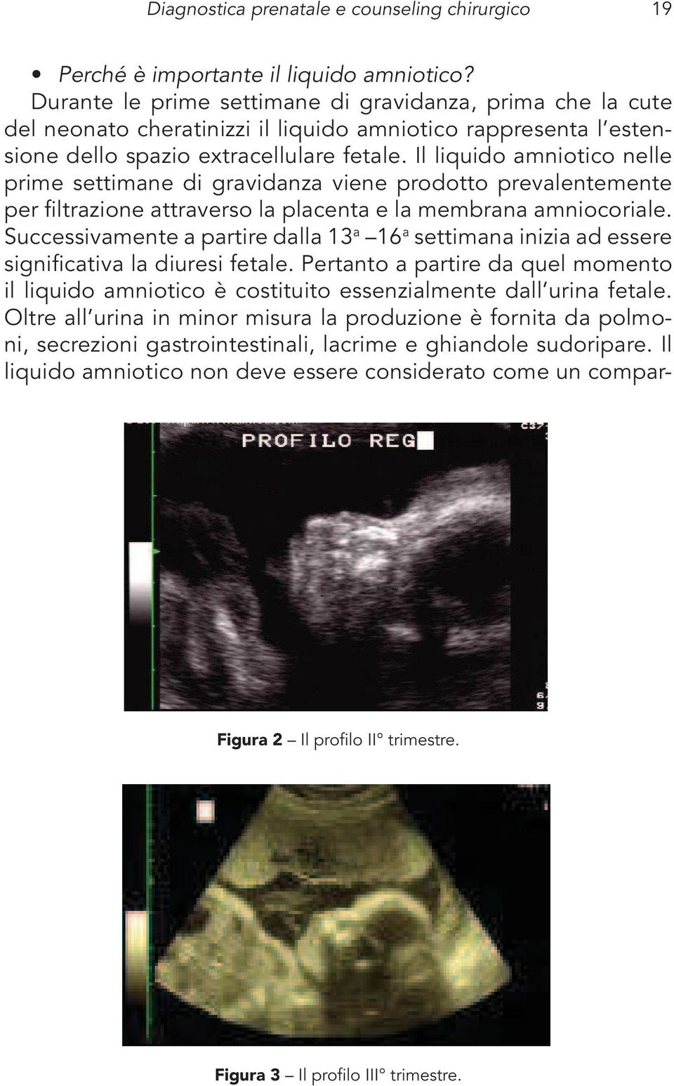 Il liquido amniotico nelle prime settimane di gravidanza viene prodotto prevalentemente per filtrazione attraverso la placenta e la membrana amniocoriale.