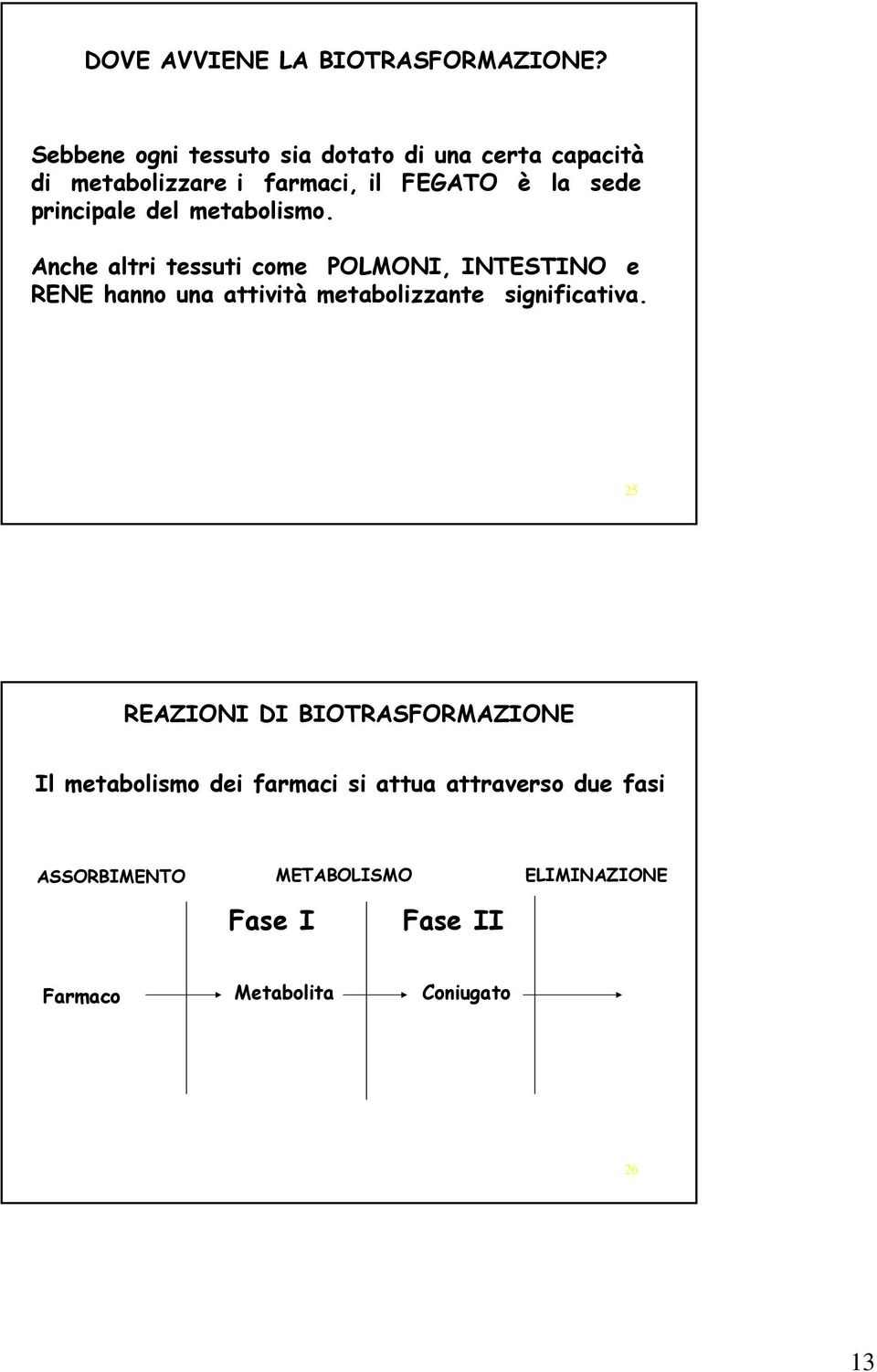 principale del metabolismo.