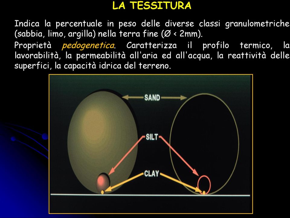 Proprietà pedogenetica.