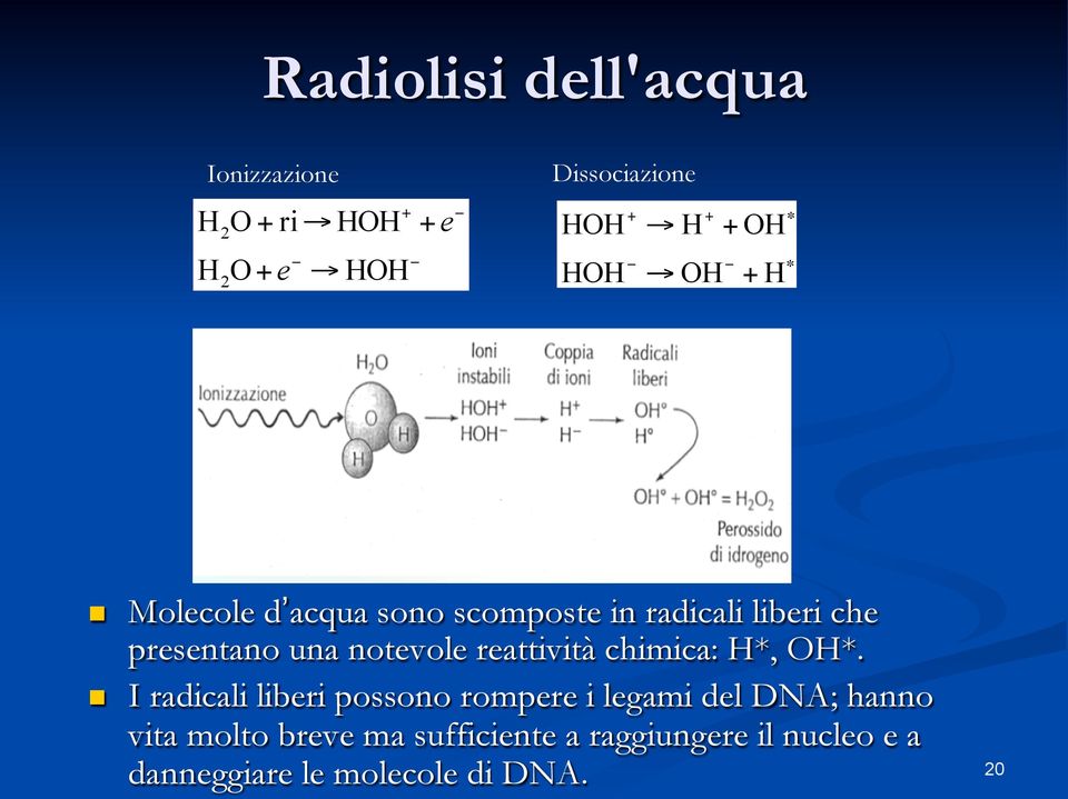 notevole reattività chimica: H*, OH*.