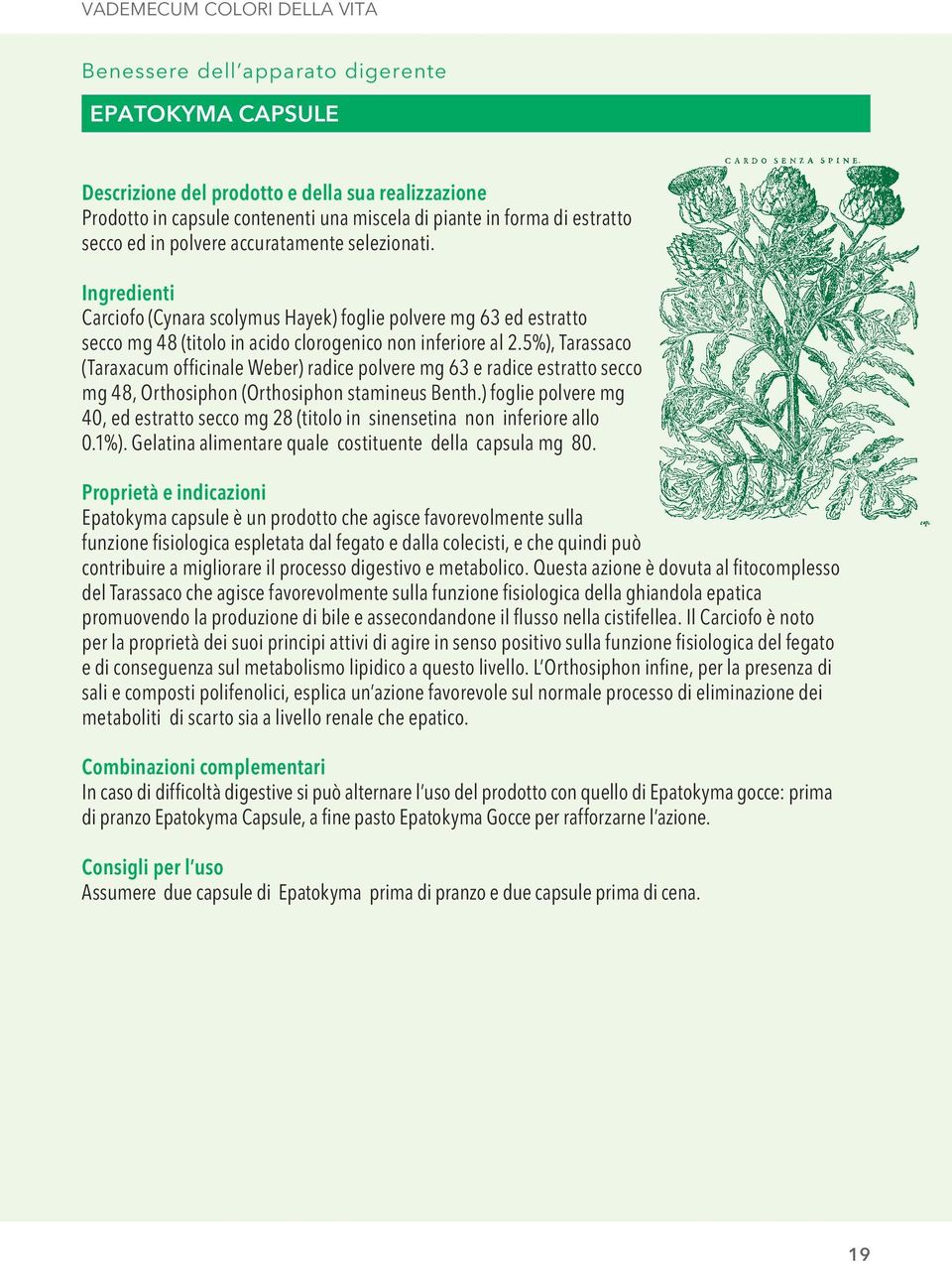 5%), Tarassaco (Taraxacum officinale Weber) radice polvere mg 63 e radice estratto secco mg 48, Orthosiphon (Orthosiphon stamineus Benth.