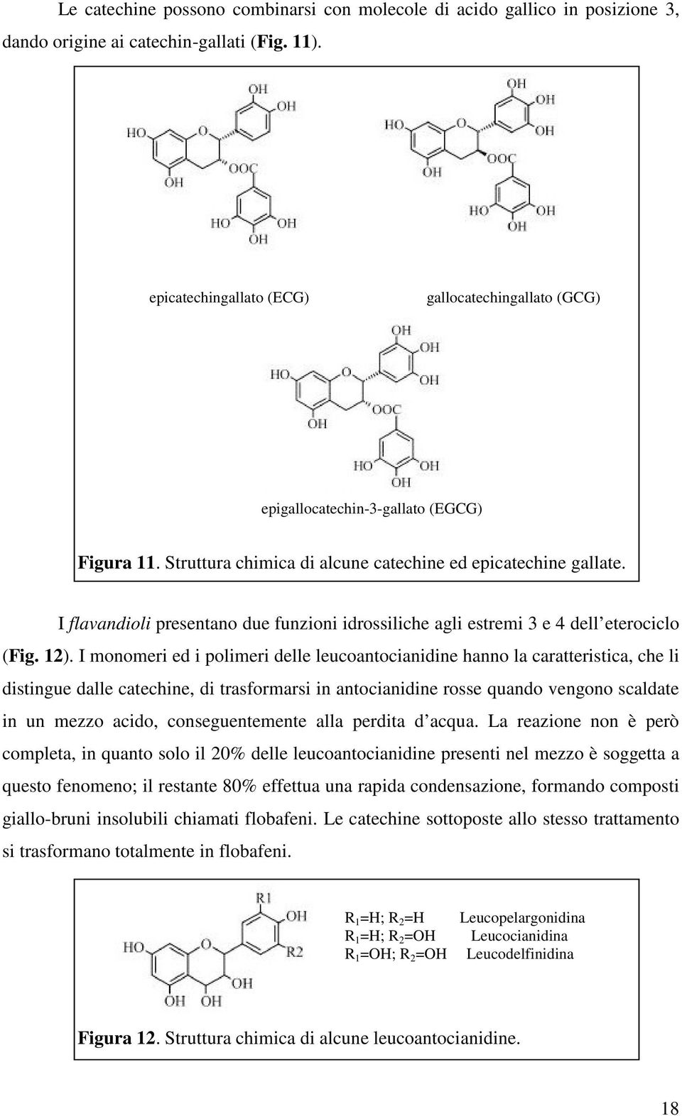 I flavandioli presentano due funzioni idrossiliche agli estremi 3 e 4 dell eterociclo (Fig. 12).