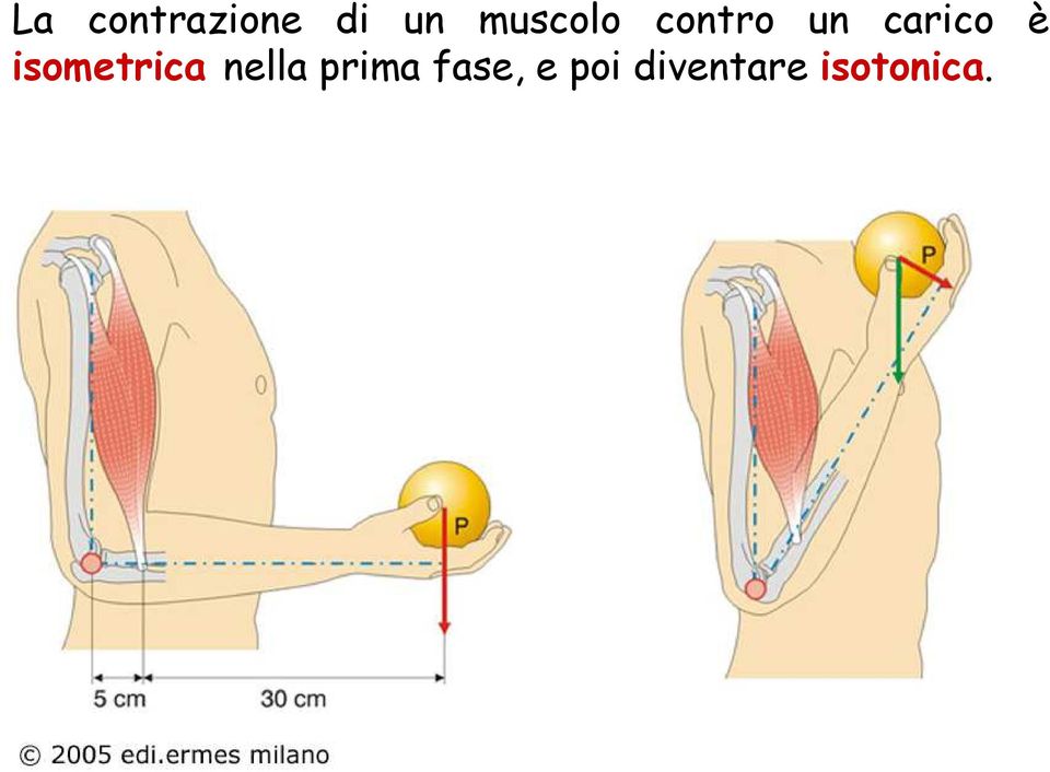 è isometrica nella prima