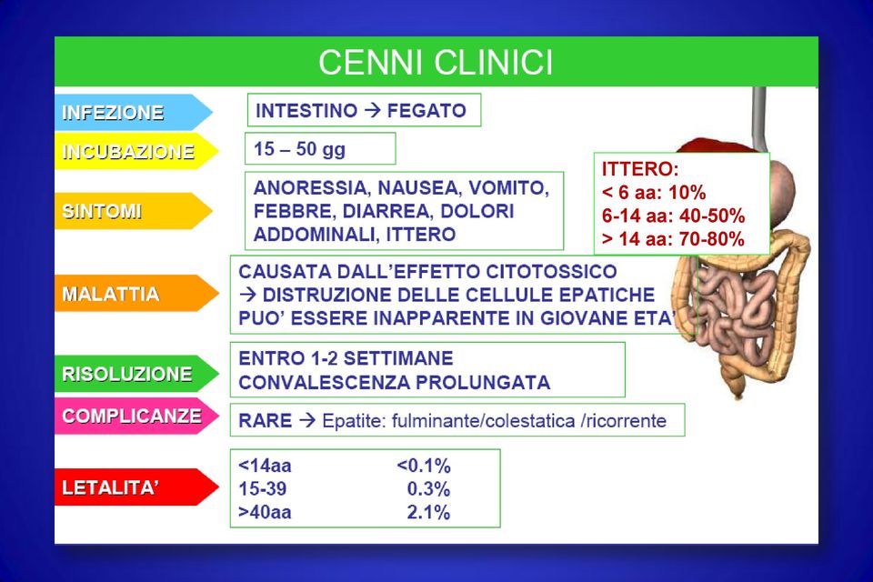 aa: 40-50% >