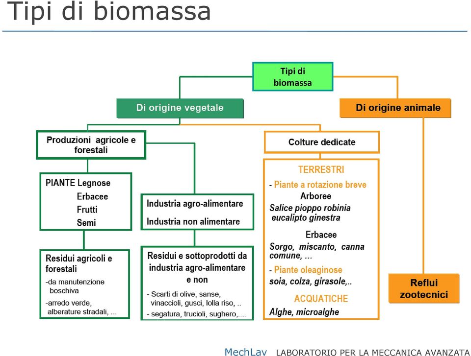 biomassa