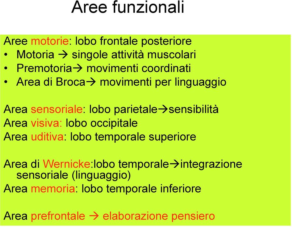 Area visiva: lobo occipitale Area uditiva: lobo temporale superiore Area di Wernicke:lobo temporale