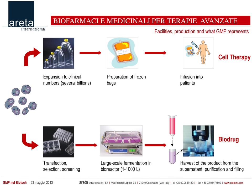 Infusion into patients Biodrug Transfection, selection, screening Large-scale fermentation