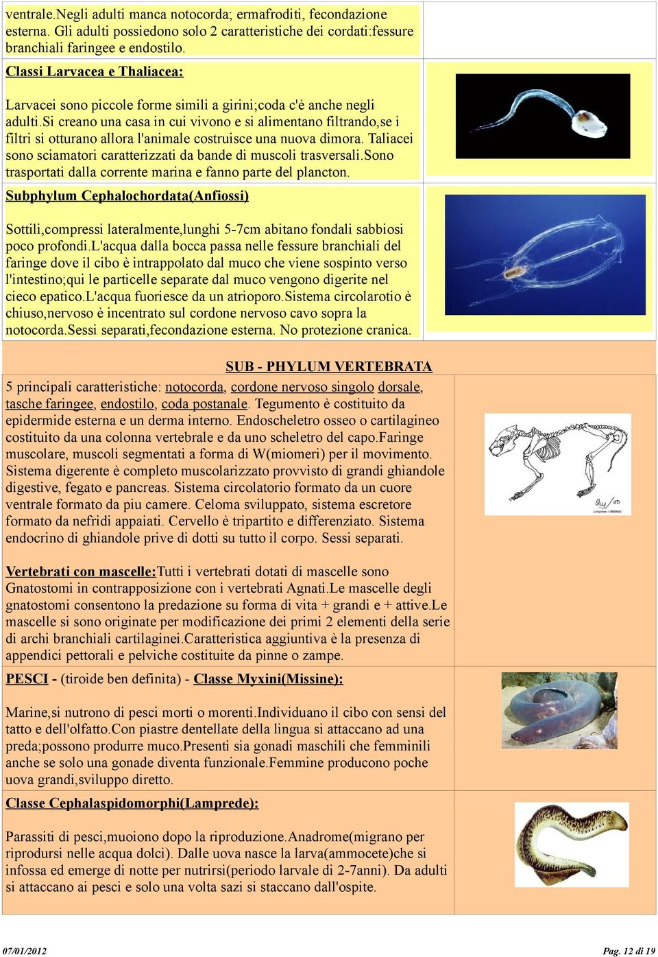 si creano una casa in cui vivono e si alimentano filtrando,se i filtri si otturano allora l'animale costruisce una nuova dimora.