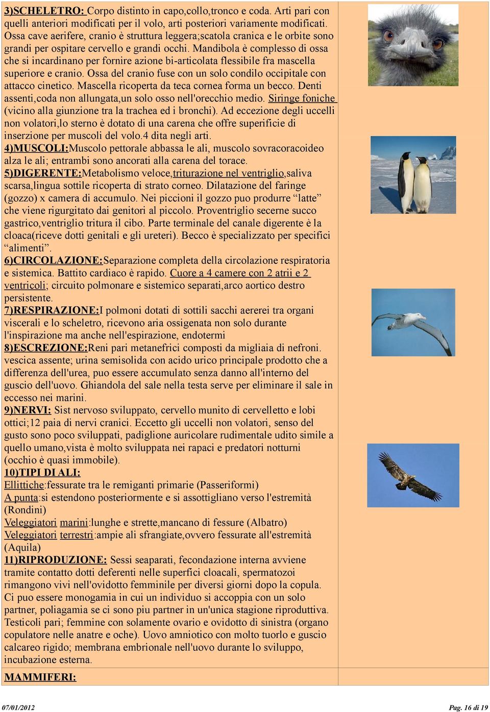 Mandibola è complesso di ossa che si incardinano per fornire azione bi-articolata flessibile fra mascella superiore e cranio. Ossa del cranio fuse con un solo condilo occipitale con attacco cinetico.