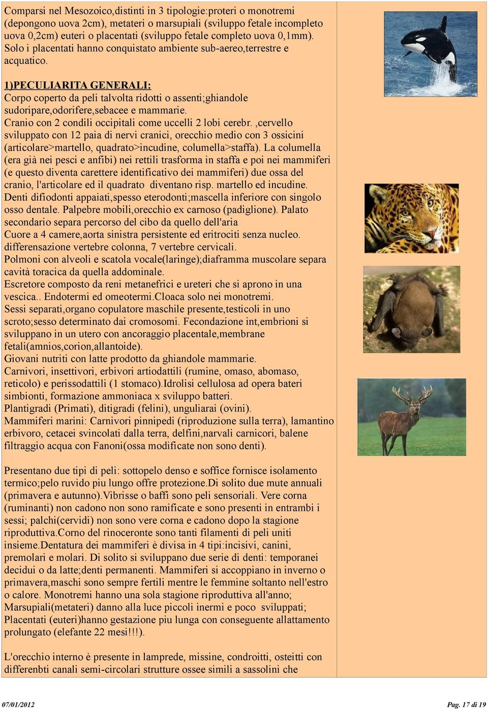 1)PECULIARITA GENERALI: Corpo coperto da peli talvolta ridotti o assenti;ghiandole sudoripare,odorifere,sebacee e mammarie. Cranio con 2 condili occipitali come uccelli 2 lobi cerebr.