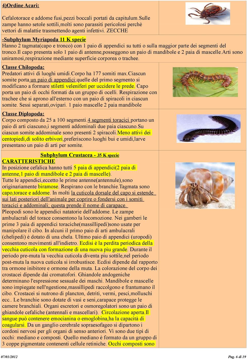 il capo presenta solo 1 paio di antenne,posseggono un paio di mandibole e 2 paia di mascelle.arti sono uniramosi,respirazione mediante superficie corporea o trachee.