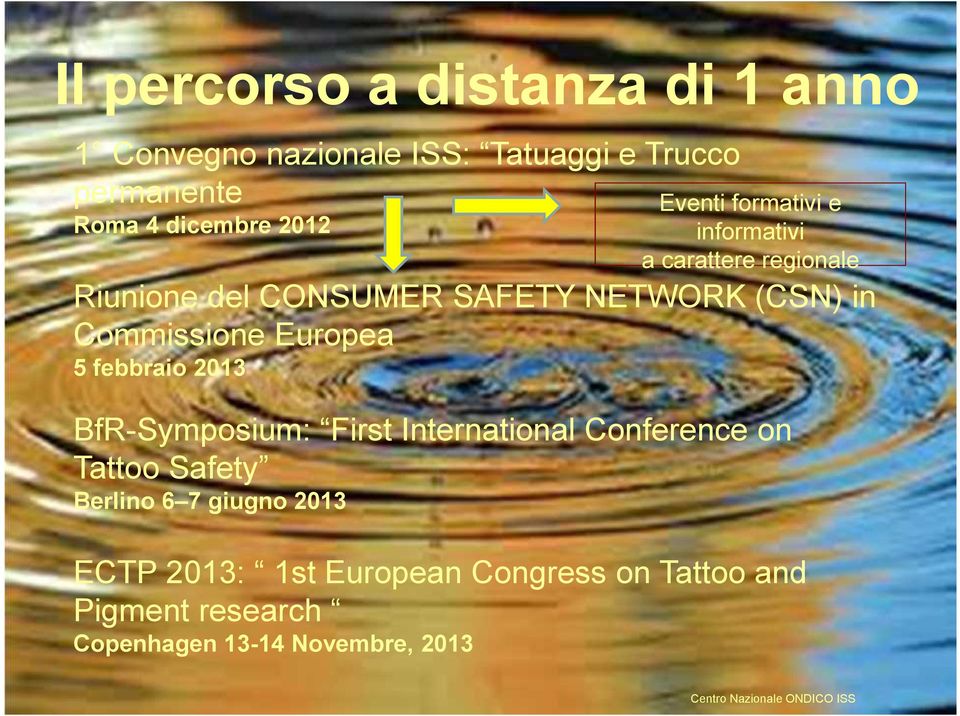 Commissione Europea 5 febbraio 2013 BfR-Symposium: First International Conference on Tattoo Safety Berlino