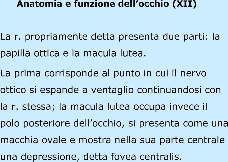 La prima corrisponde al punto in cui il nervo ottico si espande a ventaglio continuandosi con la r.