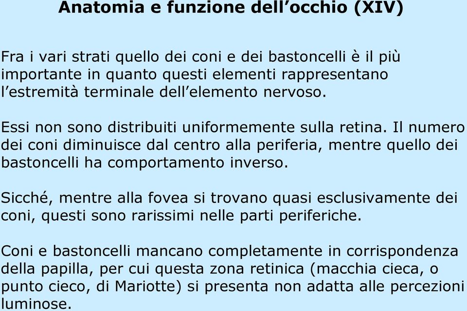 Il numero dei coni diminuisce dal centro alla periferia, mentre quello dei bastoncelli ha comportamento inverso.