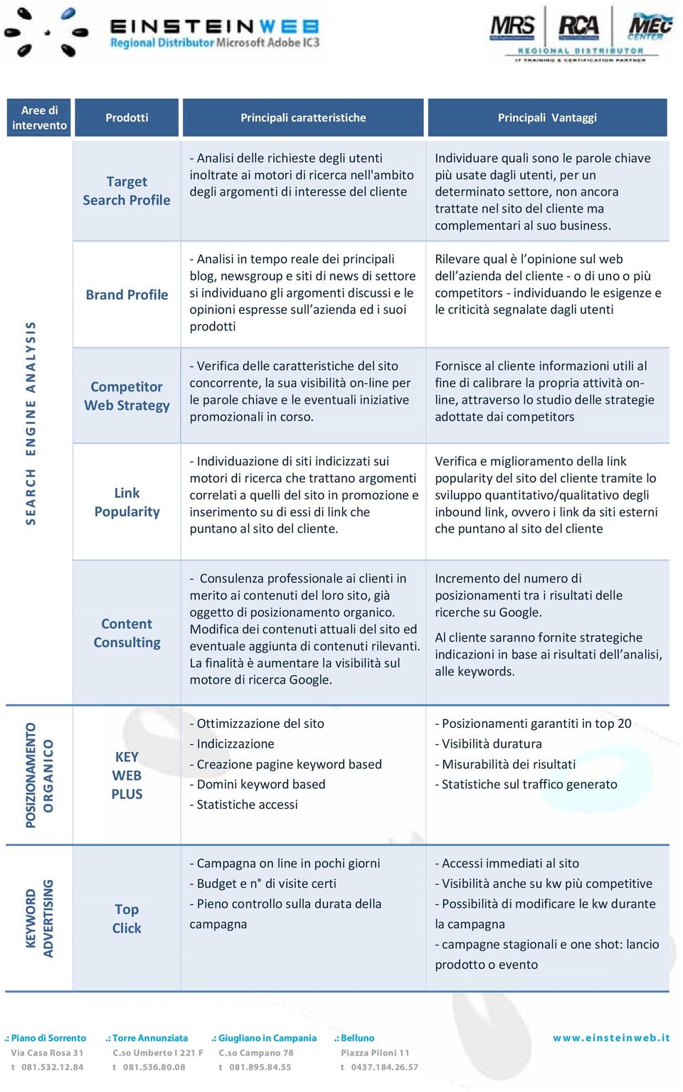 S E A R C H E N G I N E A N A L Y S I S Brand Profile Competitor Web Strategy Link Popularity - Analisi in tempo reale dei principali blog, newsgroup e siti di news di settore si individuano gli