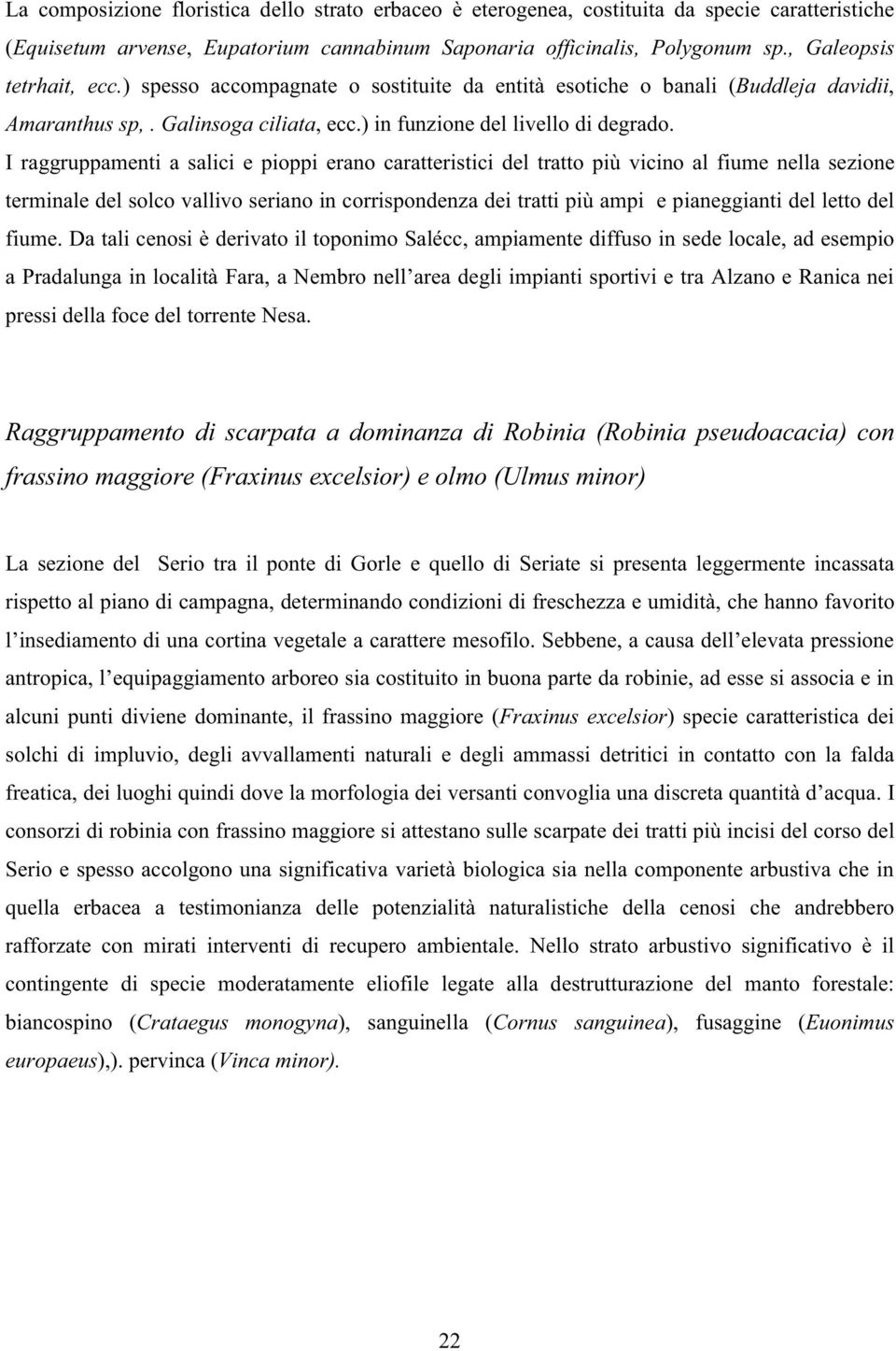 I raggruppamenti a salici e pioppi erano caratteristici del tratto più vicino al fiume nella sezione terminale del solco vallivo seriano in corrispondenza dei tratti più ampi e pianeggianti del letto