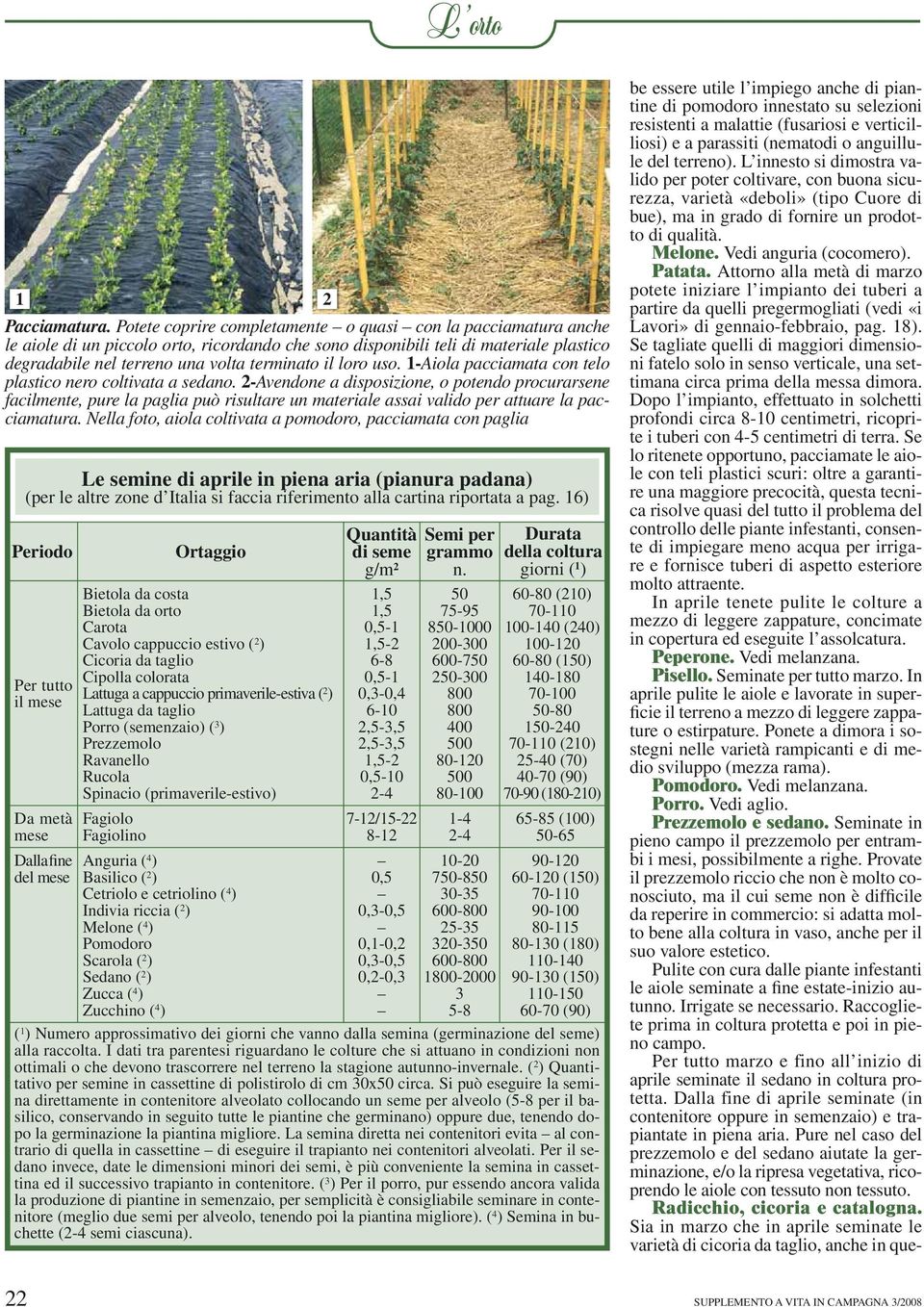 loro uso. 1-Aiola pacciamata con telo plastico nero coltivata a sedano.