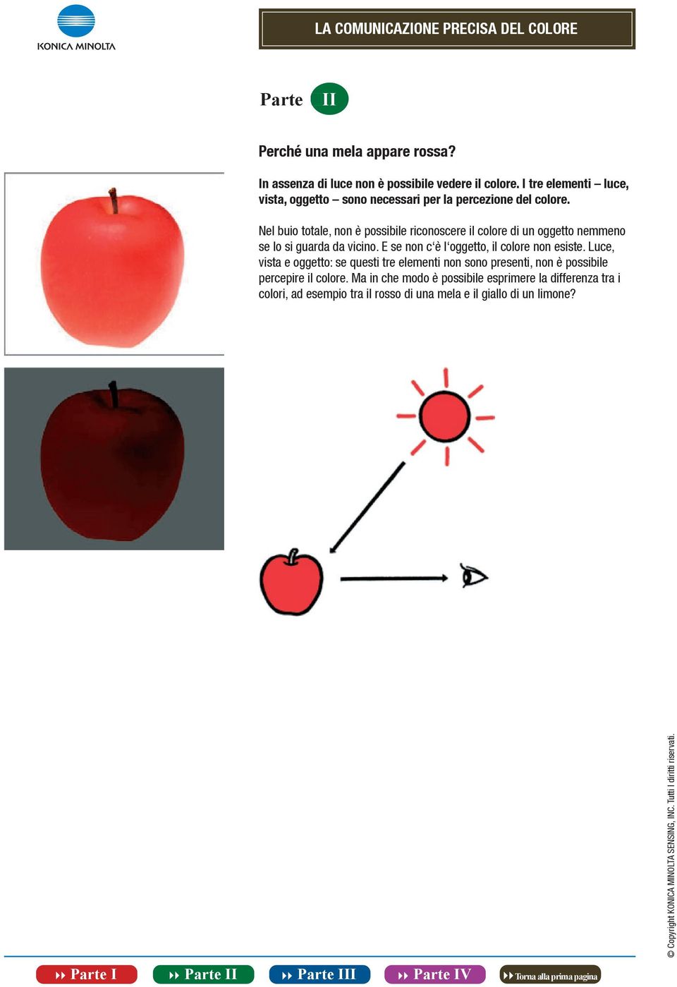 Nel buio totale, non è possibile riconoscere il colore di un oggetto nemmeno se lo si guarda da vicino.