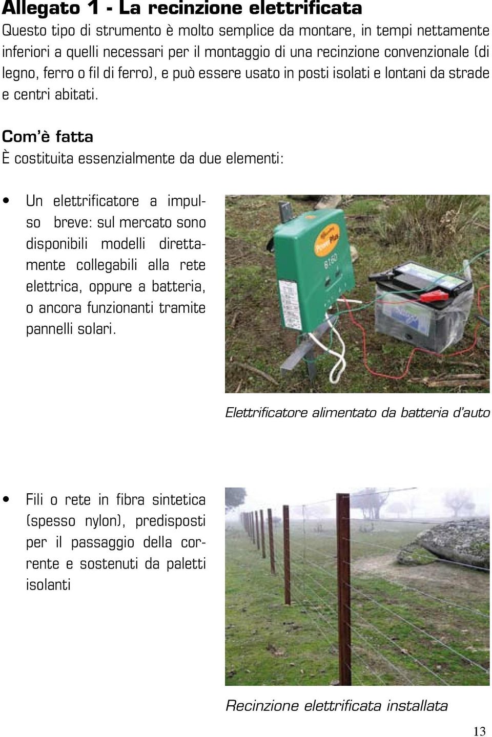 Com è fatta È costituita essenzialmente da due elementi: Un elettrificatore a impulso breve: sul mercato sono disponibili modelli direttamente collegabili alla rete elettrica, oppure a