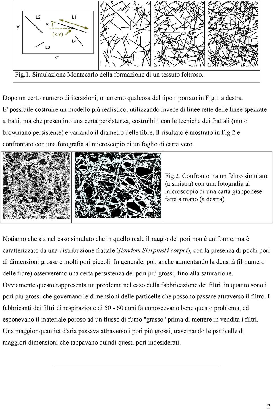 (moto browniano persistente) e variando il diametro delle fibre. Il risultato è mostrato in Fig.2 