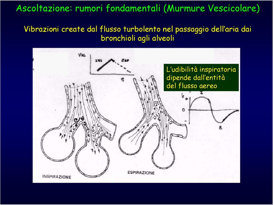 nel passaggio dell aria dai bronchioli agli alveoli L