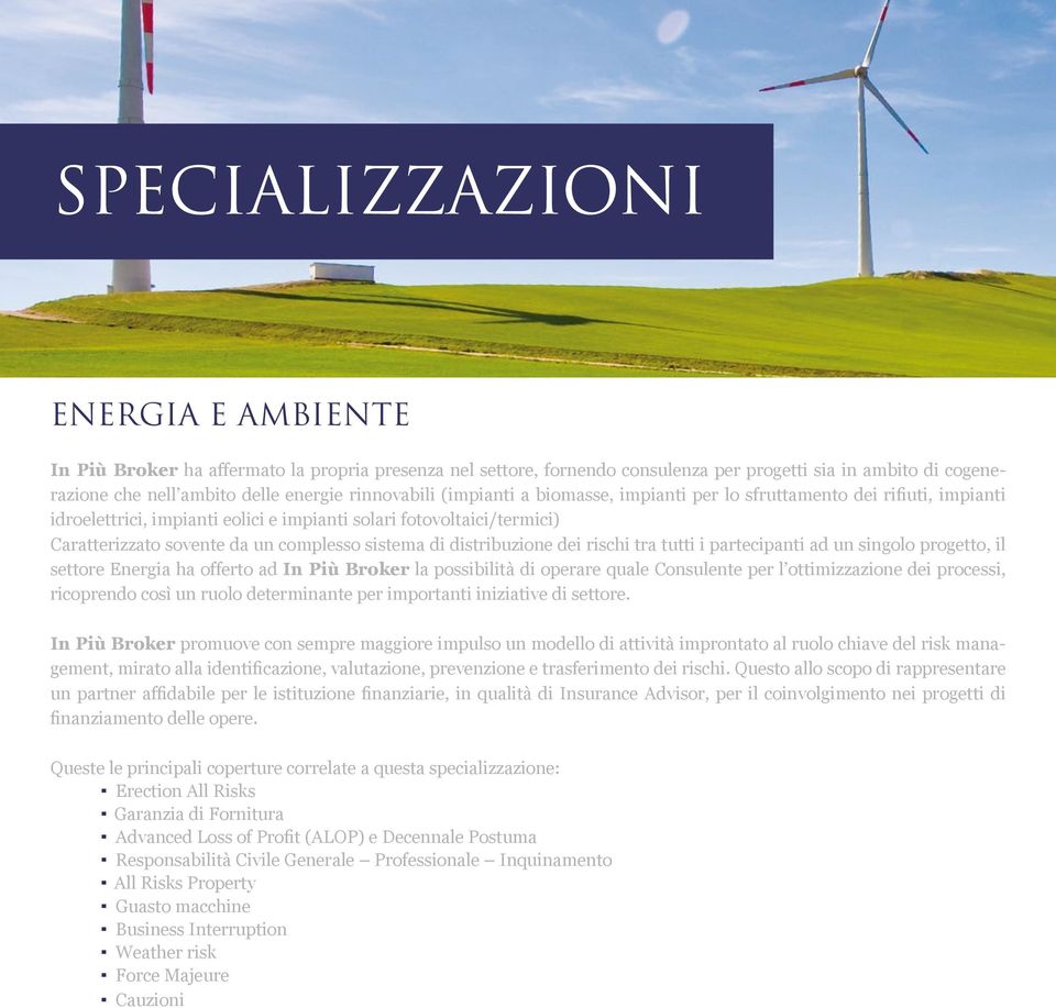 sistema di distribuzione dei rischi tra tutti i partecipanti ad un singolo progetto, il settore Energia ha offerto ad In Più Broker la possibilità di operare quale Consulente per l ottimizzazione dei