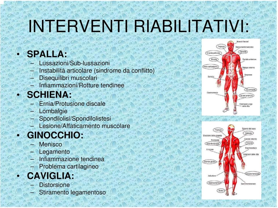 discale Lombalgie Spondilolisi/Spondilolistesi Lesione/Affaticamento muscolare GINOCCHIO: