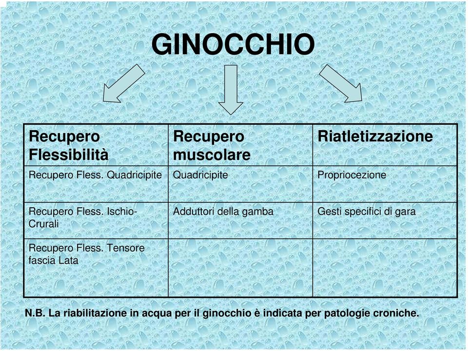 Ischio- Crurali Recupero Fless.