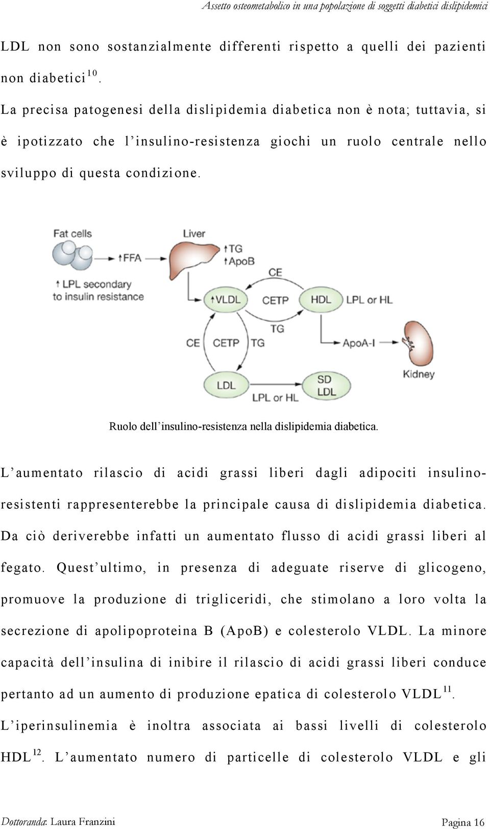 Ruolo dell insulino-resistenza nella dislipidemia diabetica.