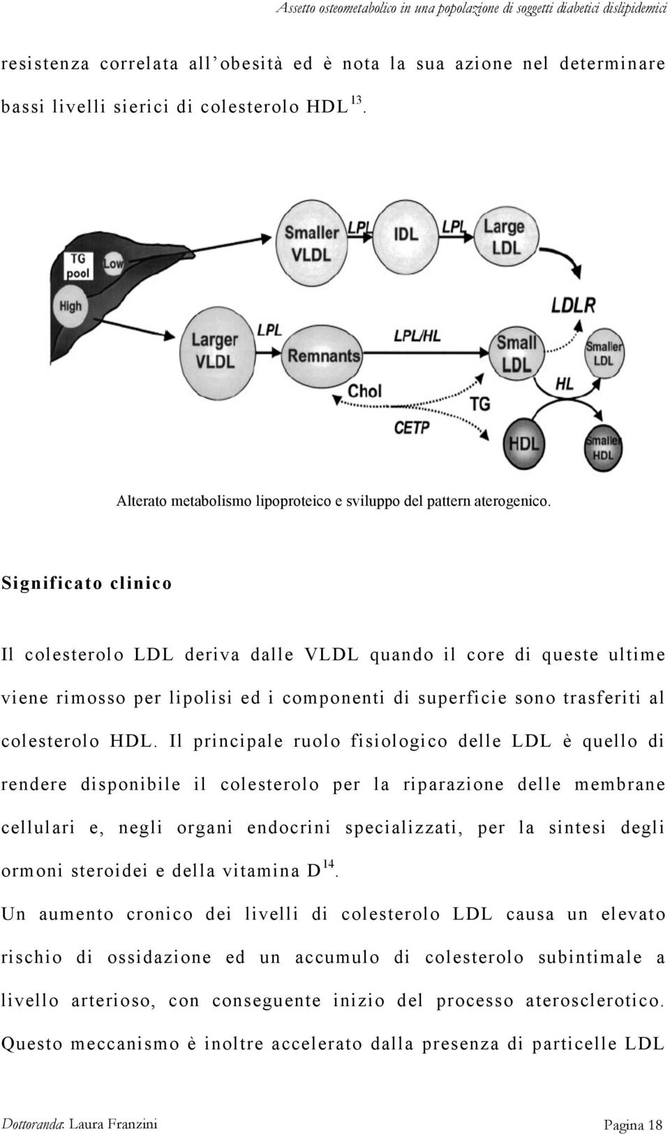 Il principale ruolo fisiologico delle LDL è quello di rendere disponibile il colesterolo per la riparazione delle membrane cellulari e, negli organi endocrini specializzati, per la sintesi degli