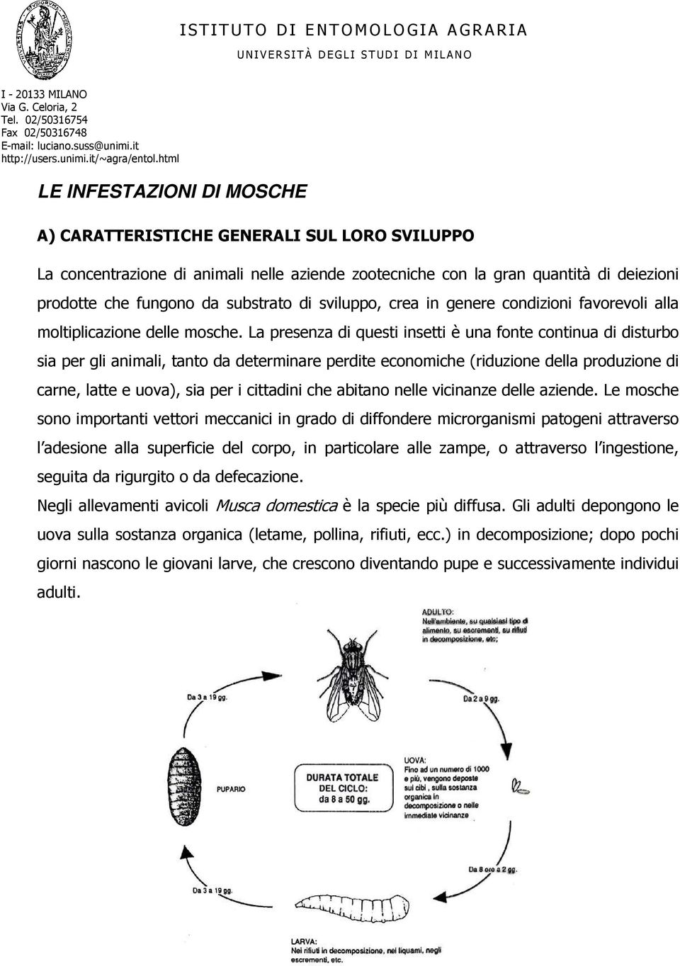 di sviluppo, crea in genere condizioni favorevoli alla moltiplicazione delle mosche.