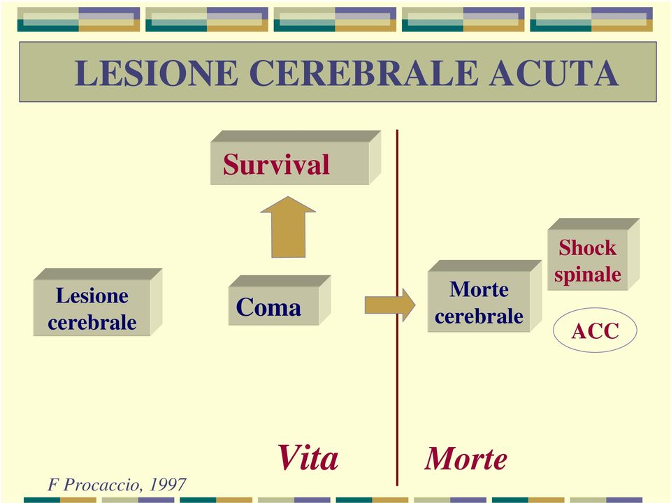 Coma Morte cerebrale Shock