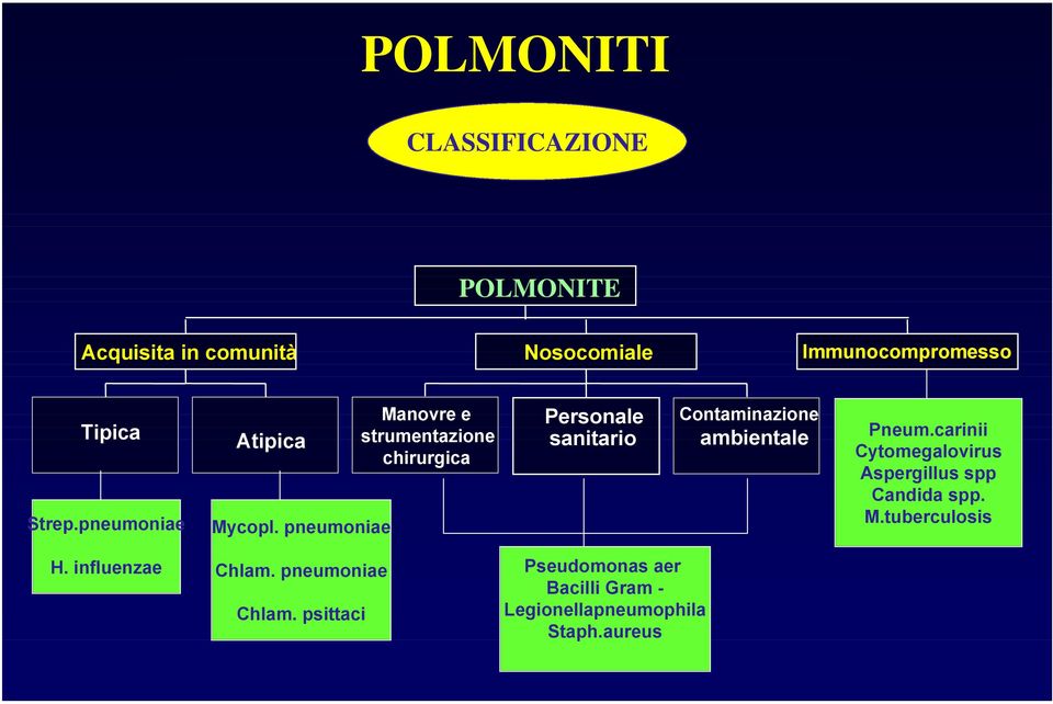 pneumoniae Manovre e strumentazione chirurgica Personale sanitario Contaminazione ambientale Pneum.
