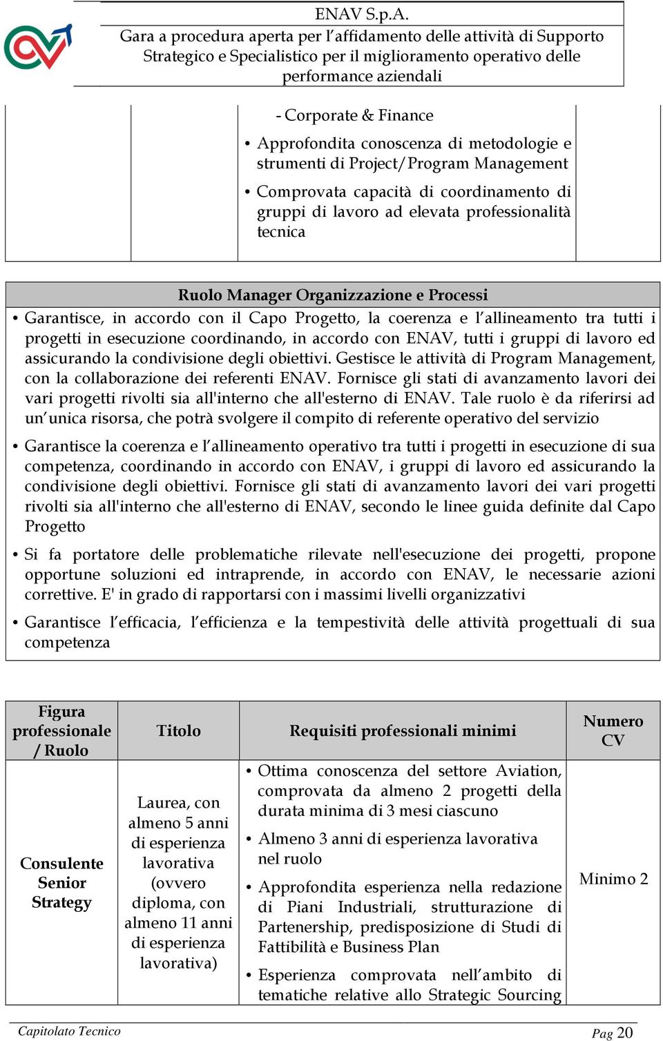 di lavoro ed assicurando la condivisione degli obiettivi. Gestisce le attività di Program Management, con la collaborazione dei referenti ENAV.