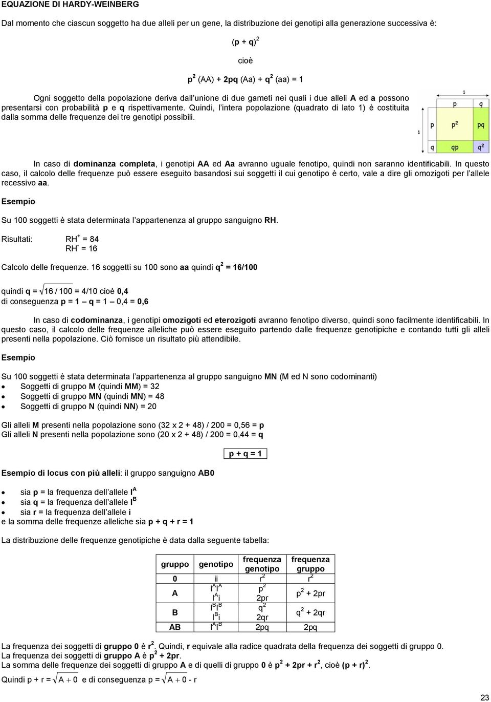 Quindi, l intera popolazione (quadrato di lato 1) è costituita dalla somma delle frequenze dei tre genotipi possibili.